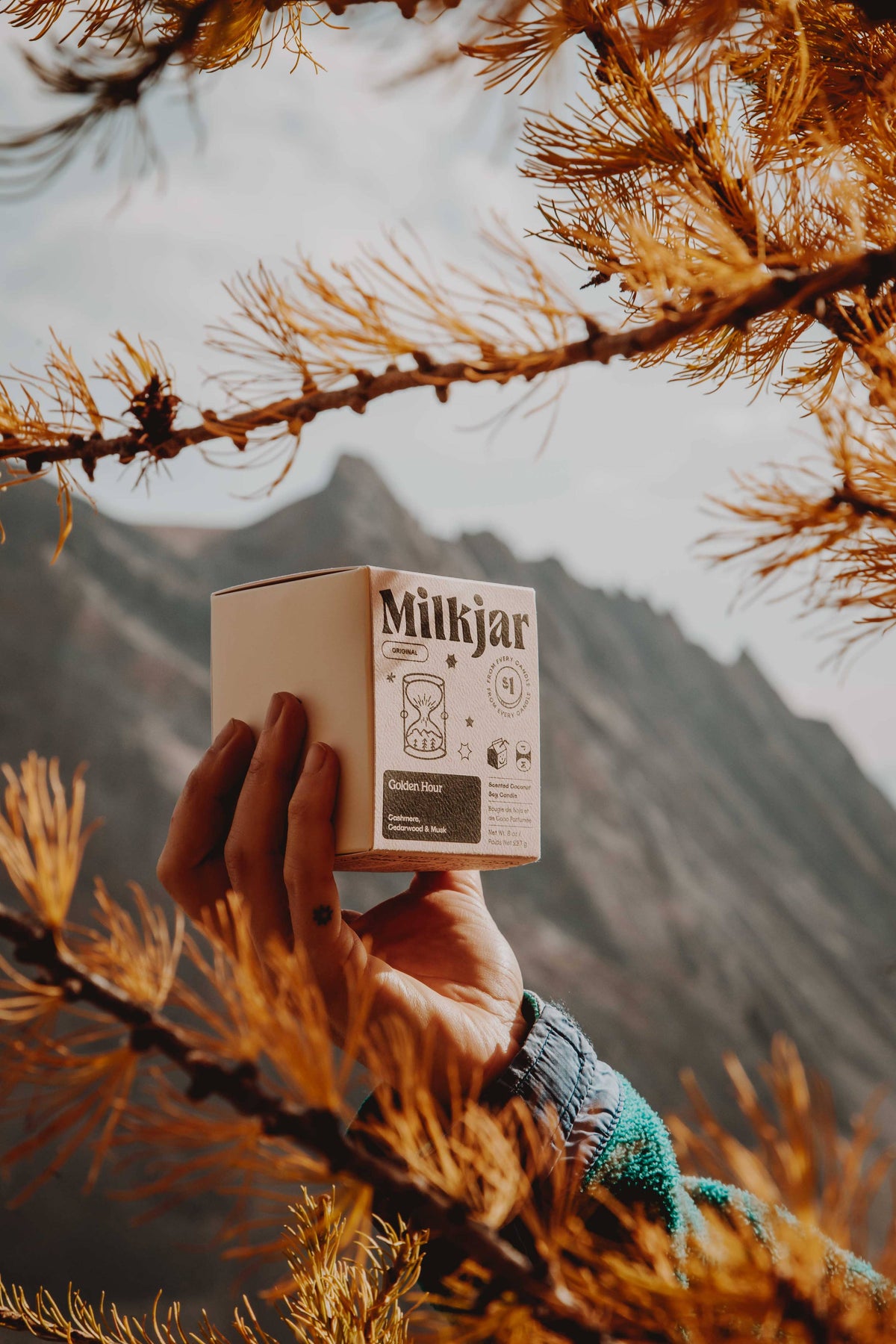 The Golden Hour Candle - Cashmere, Cedarwood