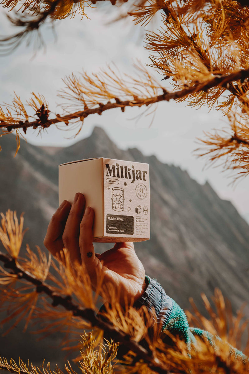 The Golden Hour Candle - Cashmere, Cedarwood