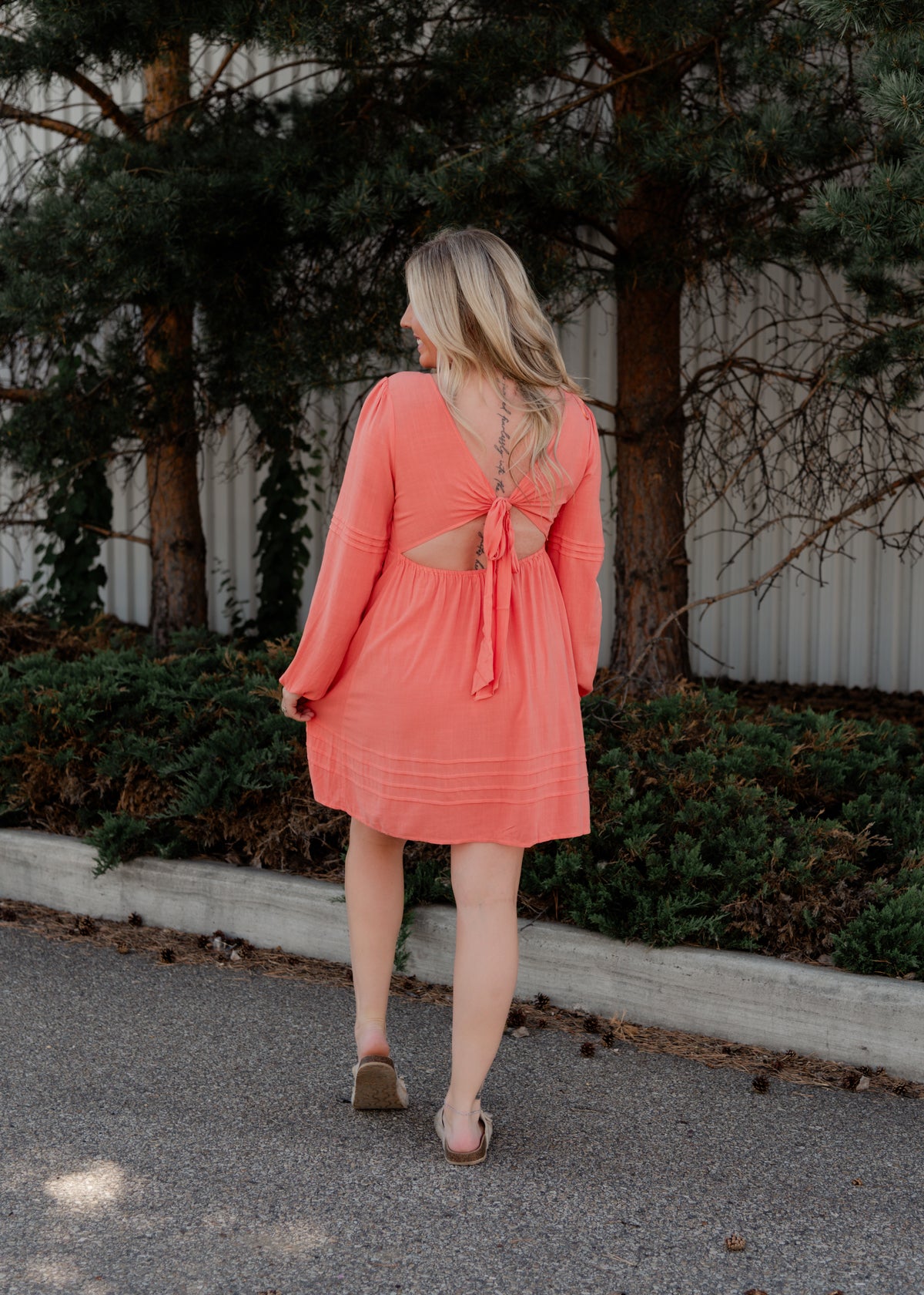 The Dylan Mini Dress