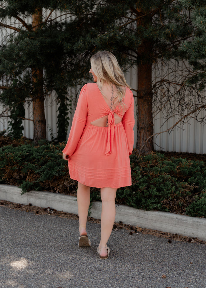 The Dylan Mini Dress