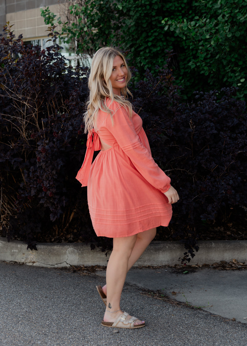 The Dylan Mini Dress