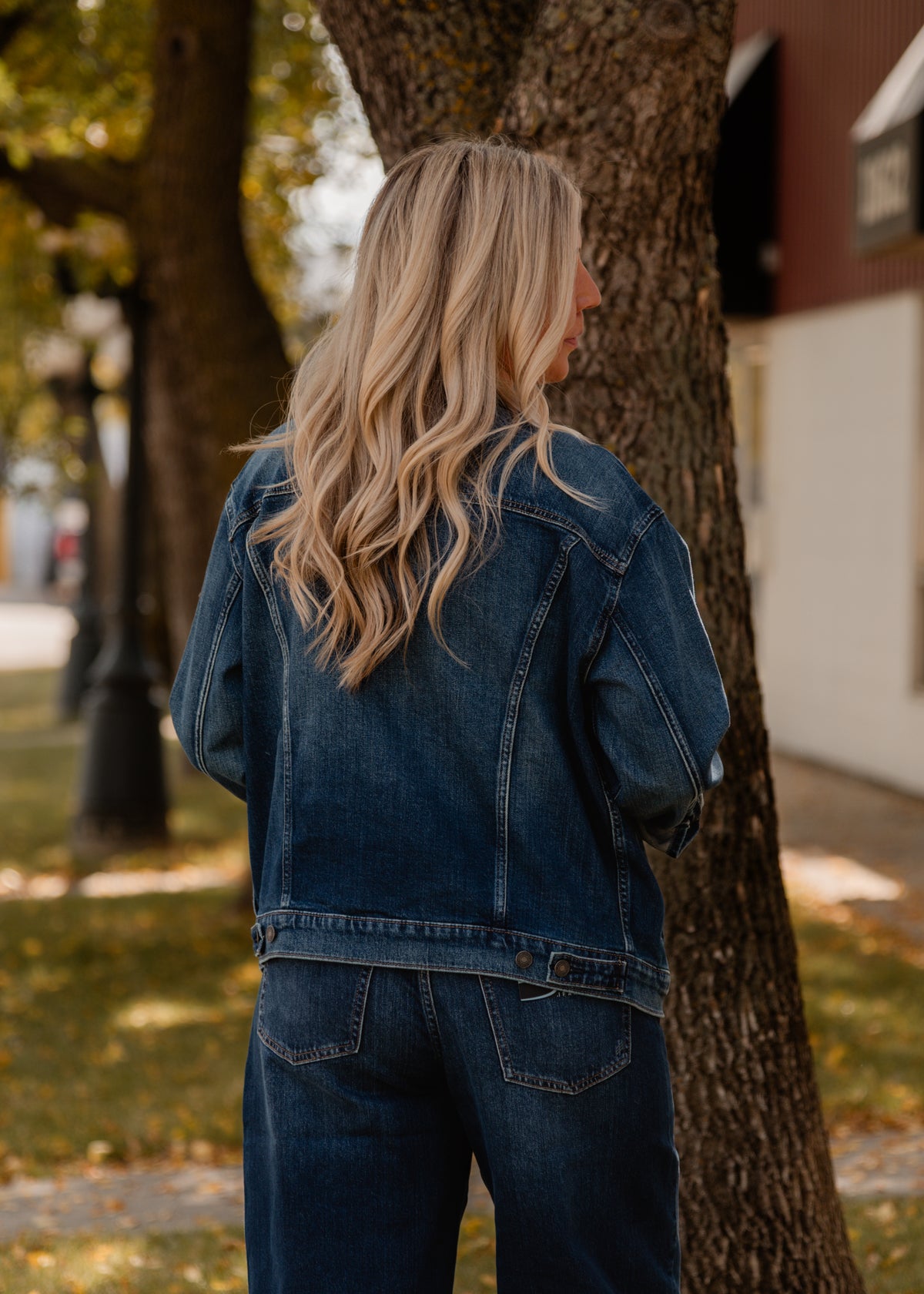 The Nico Denim Jacket