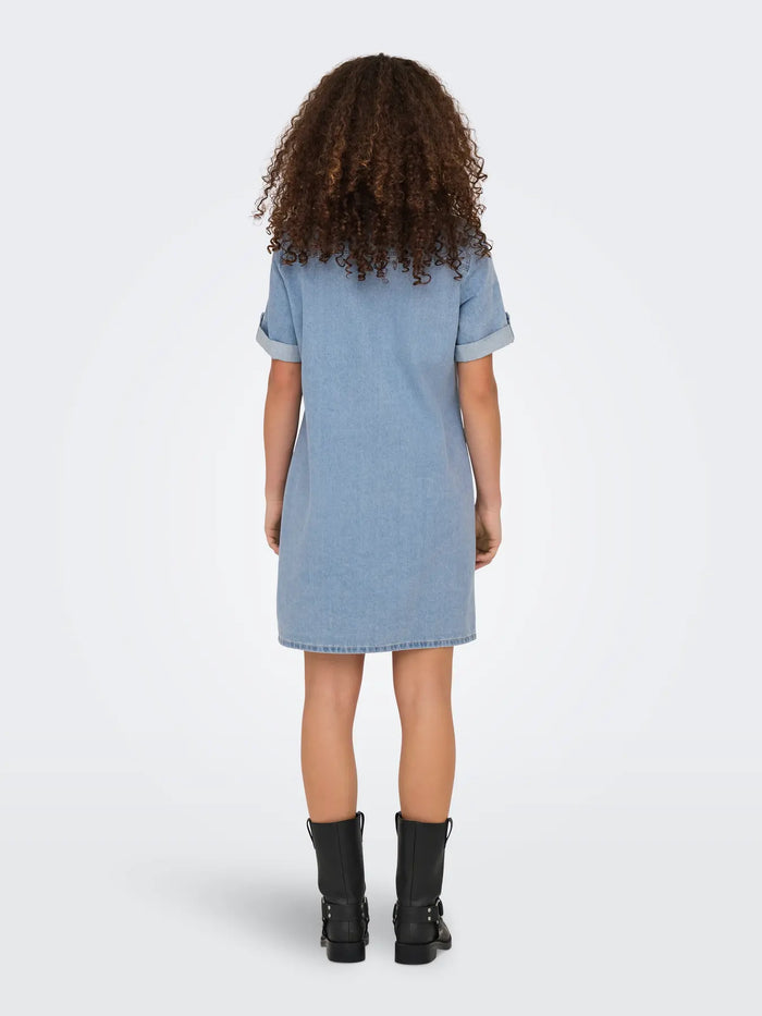 The Lisa Denim Dress