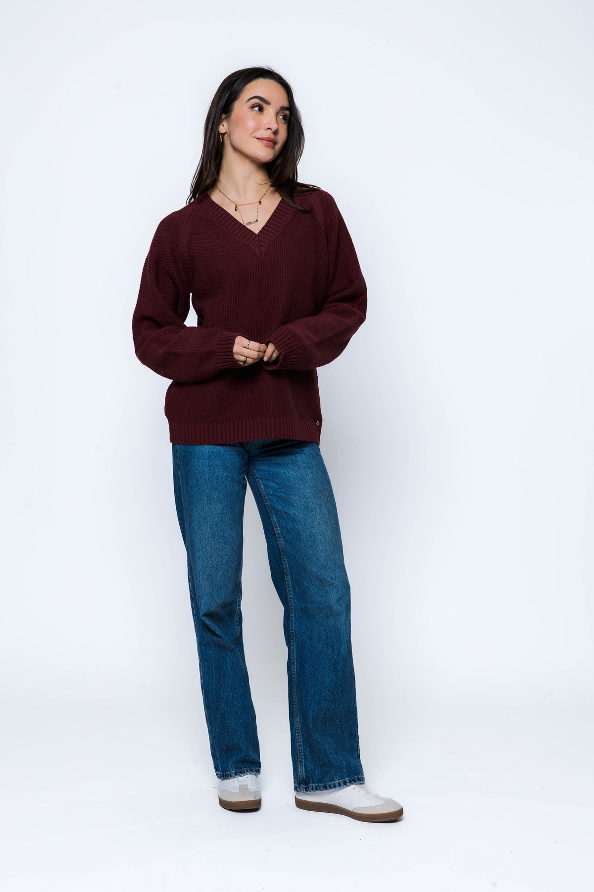 The Leandra V-Neck Pullover