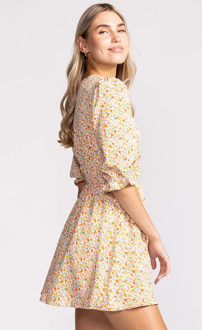 The Stephanie Dress