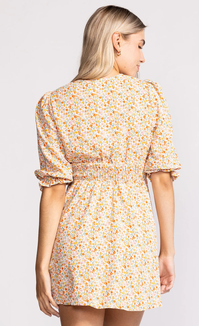 The Stephanie Dress