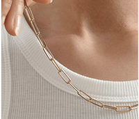 The Connection Paperclip Necklace