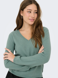 The Loyal Longsleeve