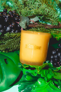 The Garden State Candle - Cedar & Cassis