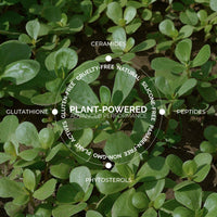 The Ceramide Hydra-Balm