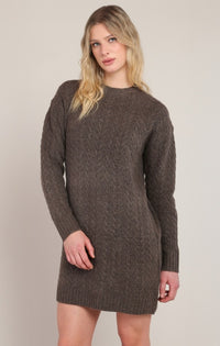 The Chestnut Sweater Dress