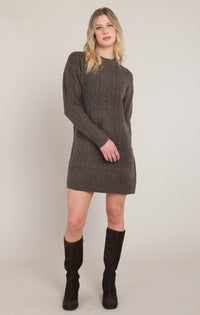The Chestnut Sweater Dress